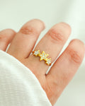 Anel Estrelas